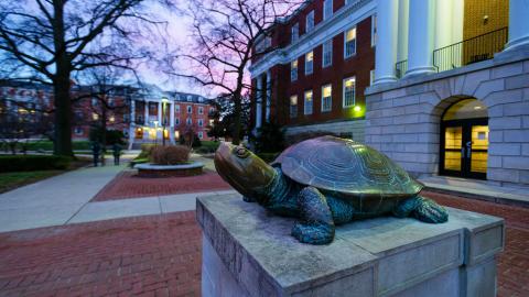 The UMD mascot testudo in front of the library at twilight
