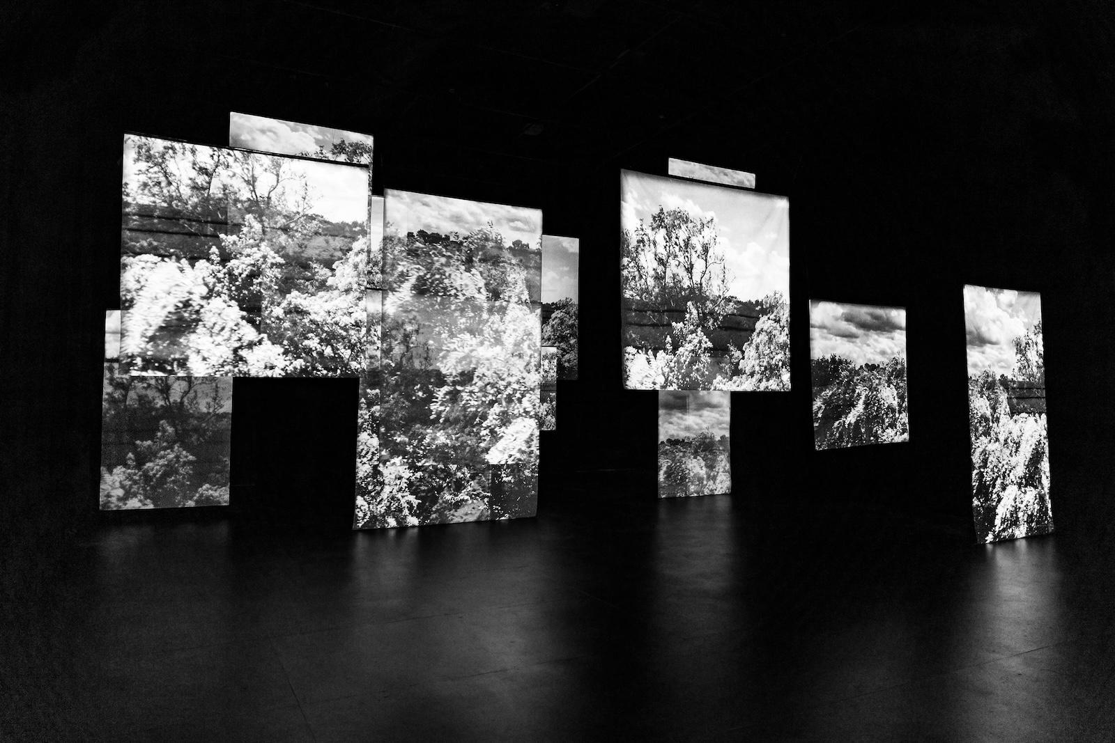 Shannon Collis “Resonant Site” 